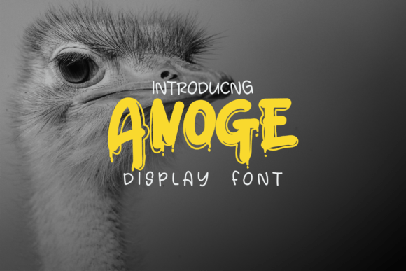 Font Choice That Speaks Volumes: Anoge for Editorial Design