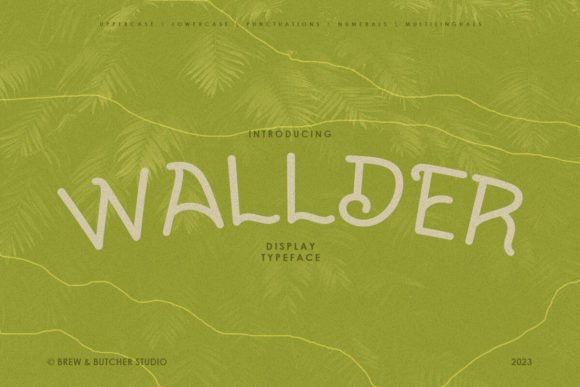 Wallder: A Font That Adds Curve to Your Digital Design